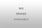 Blue Ox BXW4043 Trackpro Spring Bar Lift Tool New. Price: $42.74.