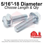 5/16"-18 Grade Serrated Hex Flange Screws Frame Bolts Zinc (pick Length & Qty) New. Price: $383.93.