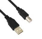 New 6 Ft. Usb 2.0 Printer Cable For Hp Photosmart C7250 / C7280 C8150. Price: $15.73.
