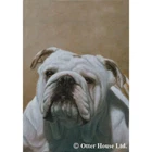 Bulldog Decorative Flag New. Price: $23.95.